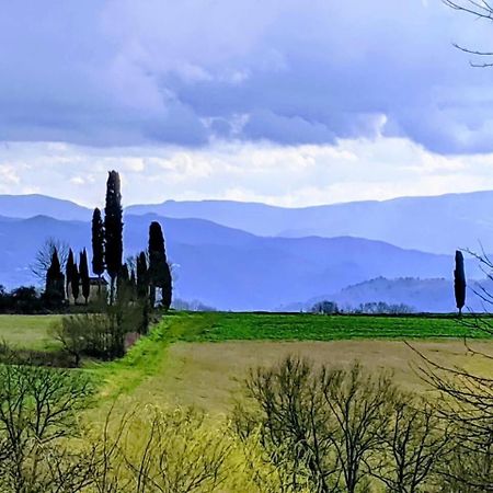 Tuscan Hills Near Florence - Stone House Vicchio Exterior photo