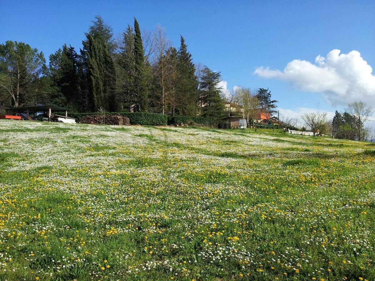 Tuscan Hills Near Florence - Stone House Vicchio Exterior photo